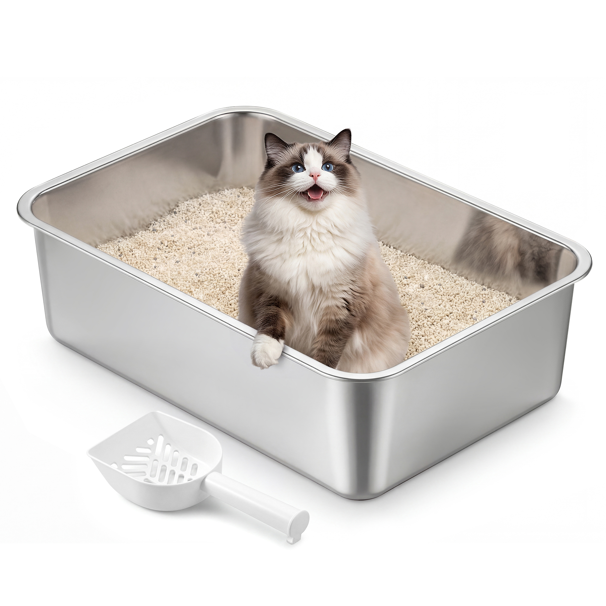 Product View 0